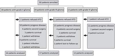 Phase I/II trial of local interstitial chemotherapy with arsenic trioxide in patients with newly diagnosed glioma